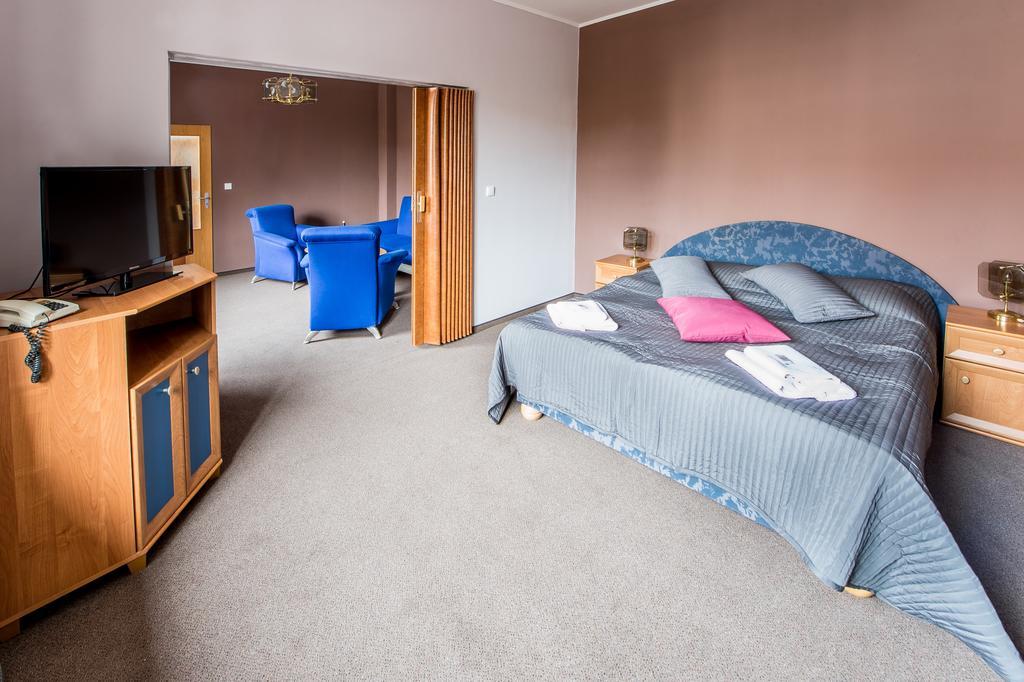 Hotel U Lva Bilina Room photo